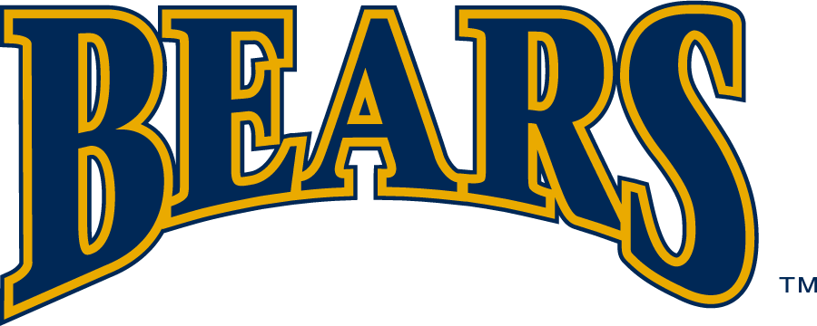 Northern Colorado Bears 2010-2015 Wordmark Logo diy iron on heat transfer